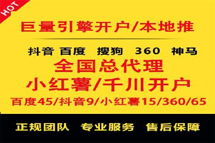 SEM竞价实战：成功案例解析